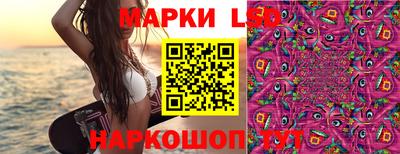 гидропоника Берёзовский
