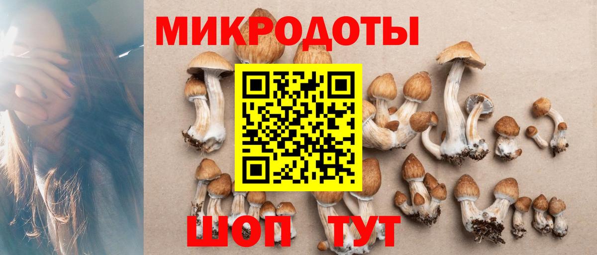 Псилоцибиновые грибы GOLDEN TEACHER  Вход с VPN  где найти   Кингисепп 